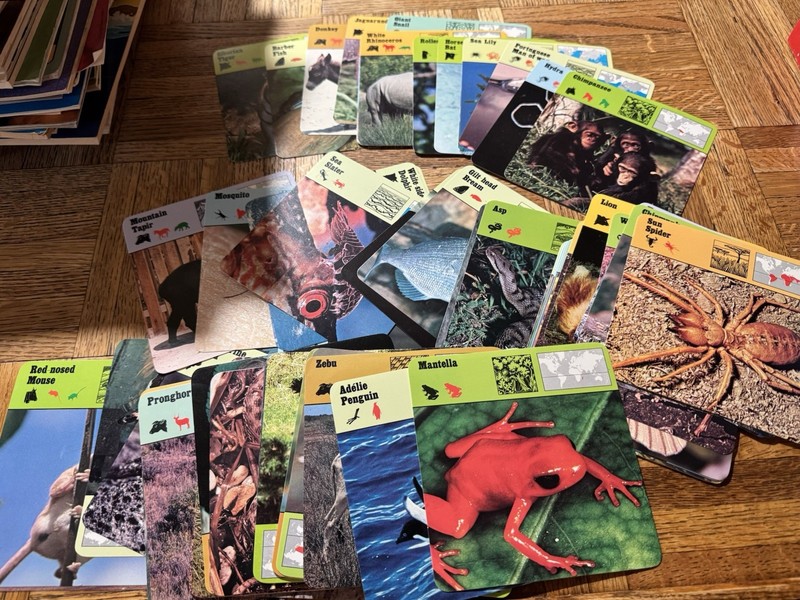 EUC! Vintage Rencontre Wildlife Safari Cards Lot 1975-77 Various Animals