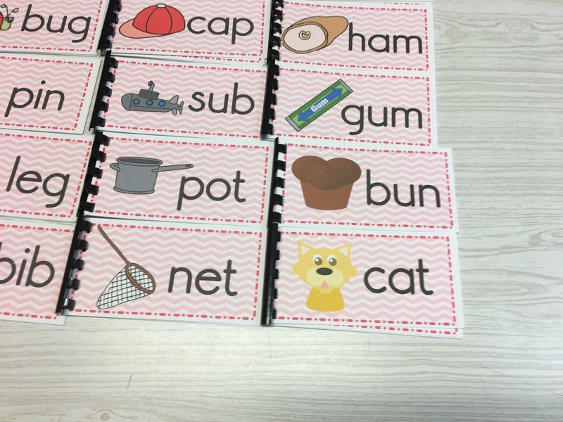 NEW Montessori Materials -The Pink Series - 24 CVC Word Families Booklets Pre-K gallery