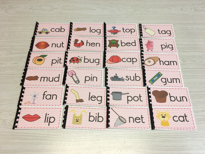 NEW Montessori Materials -The Pink Series - 24 CVC Word Families Booklets Pre-K