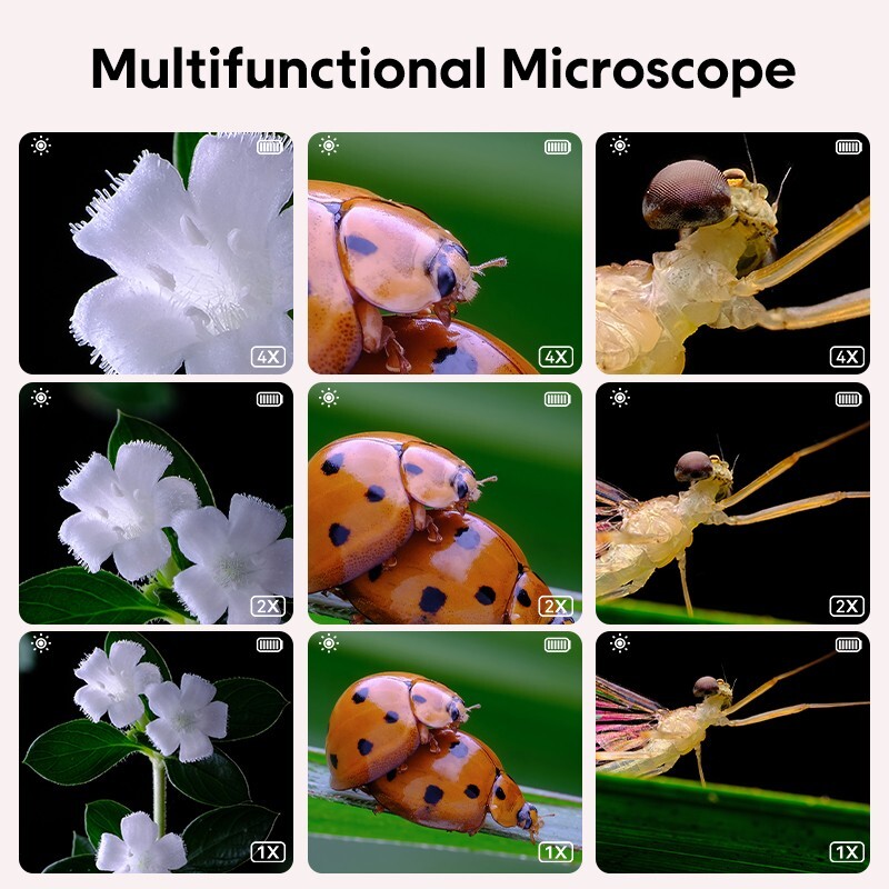 Pink Kids Optical Microscope Observe The Microscopic World Science for Children gallery