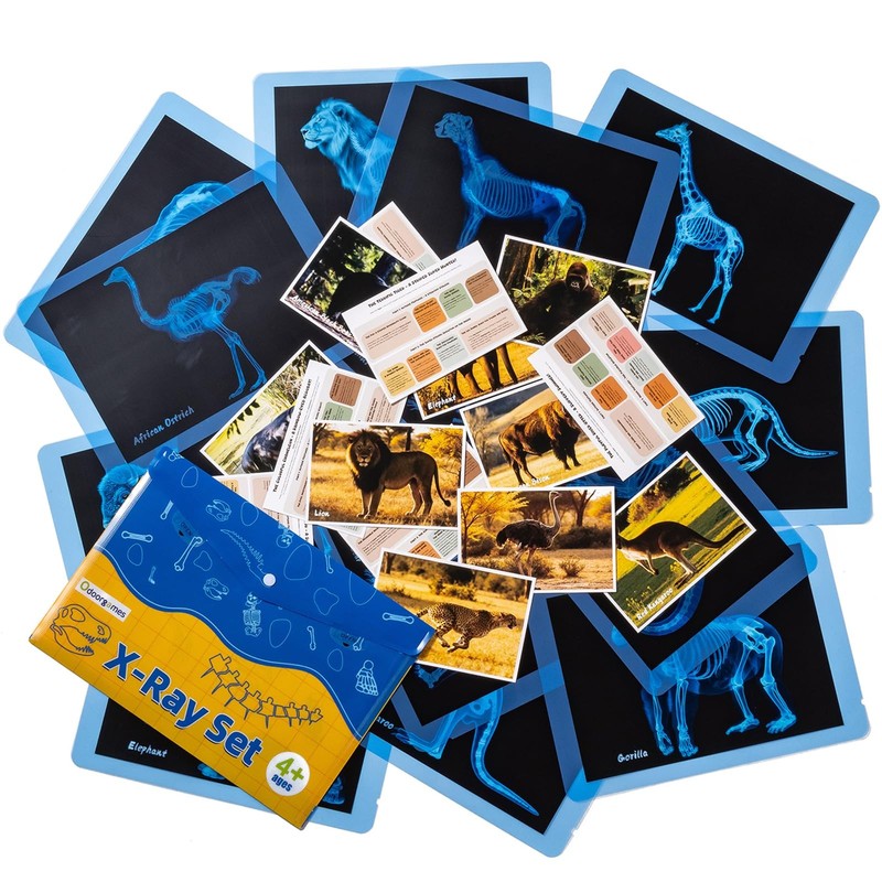 Odoorgames Zoo Animal Xrays for Kids - 15 Pcs Animal Science Kit for Vet Role Pl